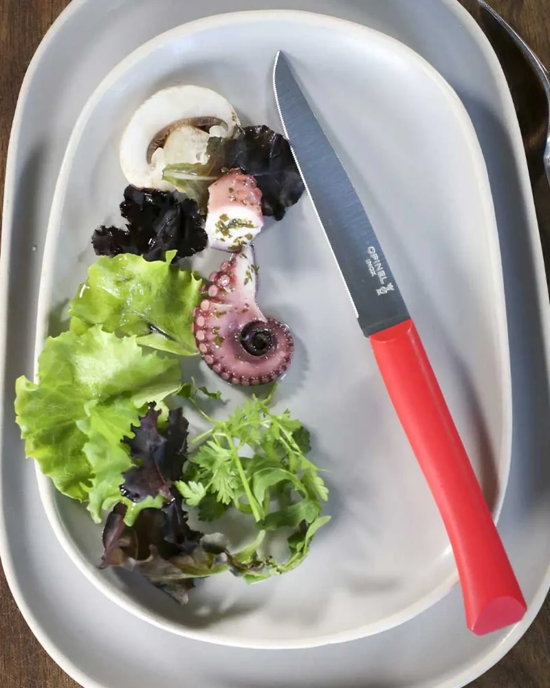 Cuchillo de mesa Opinel Bon Appétit + para personalizar