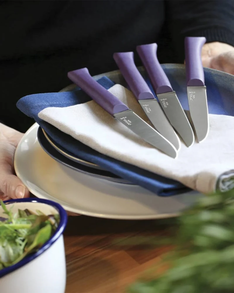 Cuchillo de mesa Opinel Bon Appétit + para personalizar