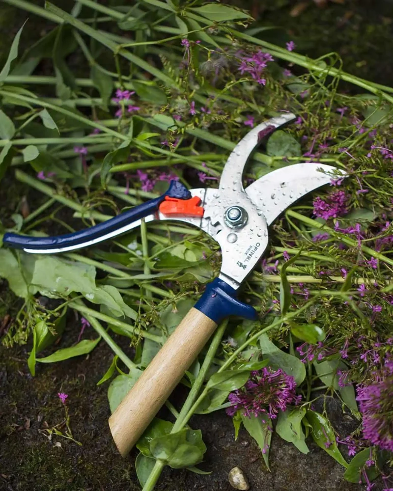 Tijera de podar Opinel acero inoxidable para personalizar