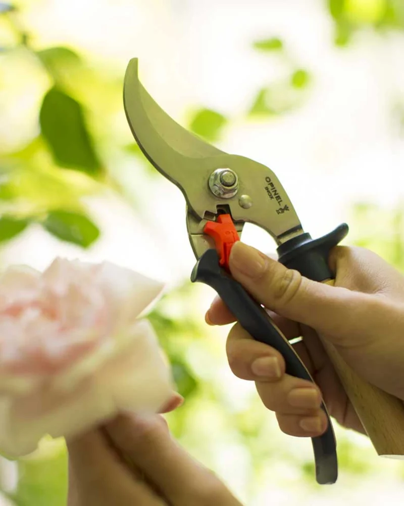 Tijera de podar Opinel acero inoxidable para personalizar