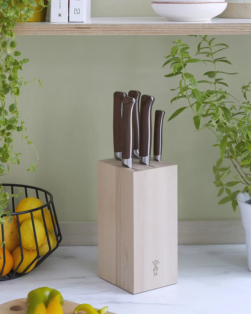 Bloque de 5 cuchillos Opinel de haya para personalizar