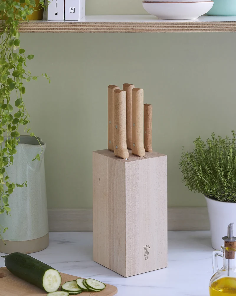 Bloque de 5 cuchillos Opinel de haya para personalizar