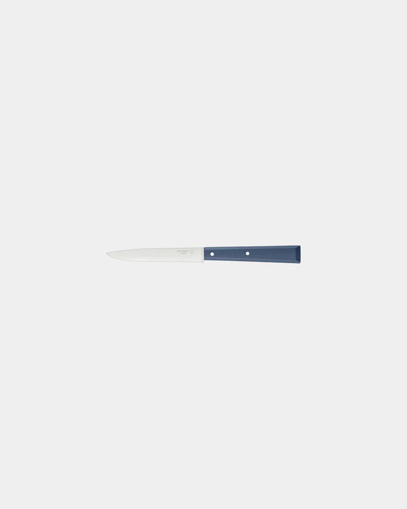 Cuchillo de mesa acero Opinel N°125 para personalizar