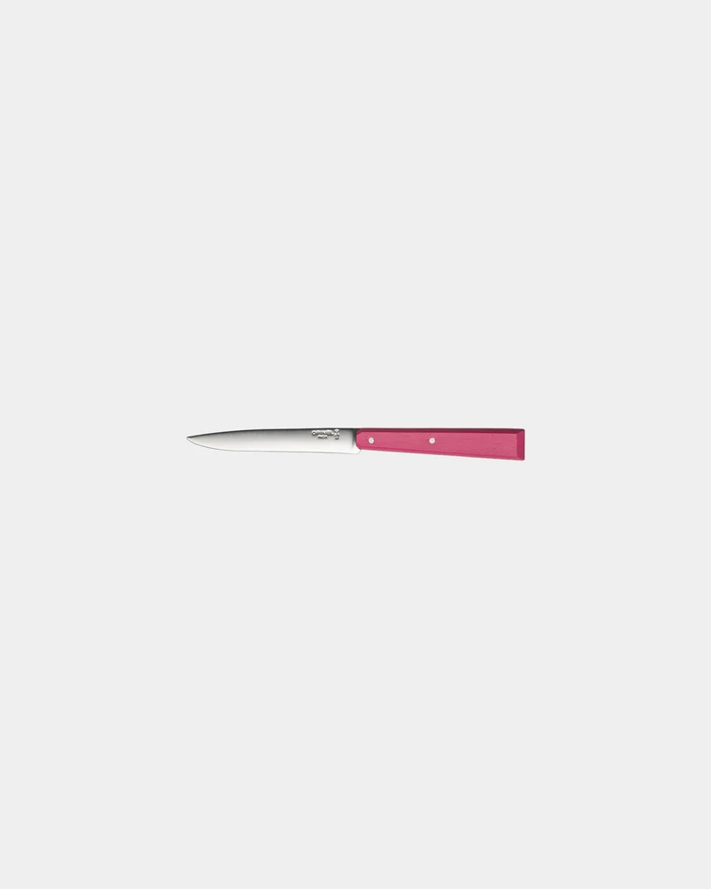 Cuchillo de mesa acero Opinel N°125 para personalizar
