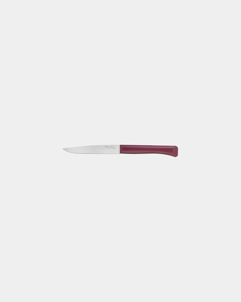 Estuche 4 cuchillos Opinel Bon Appétit para personalizar