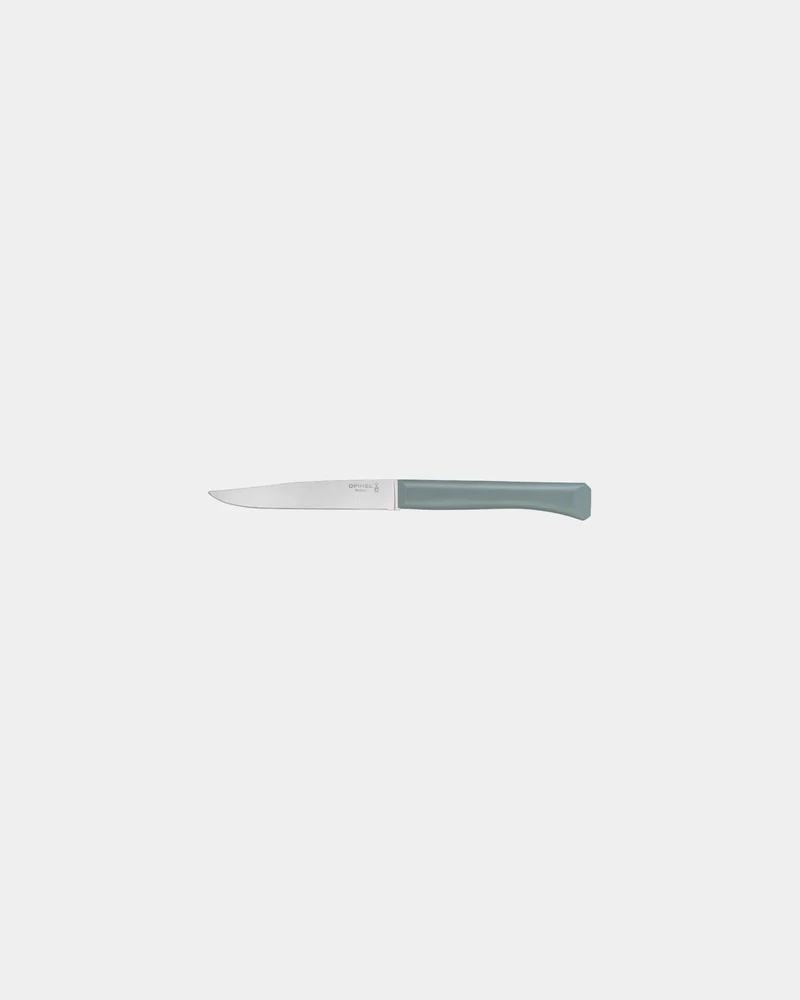 Estuche 4 cuchillos Opinel Bon Appétit para personalizar