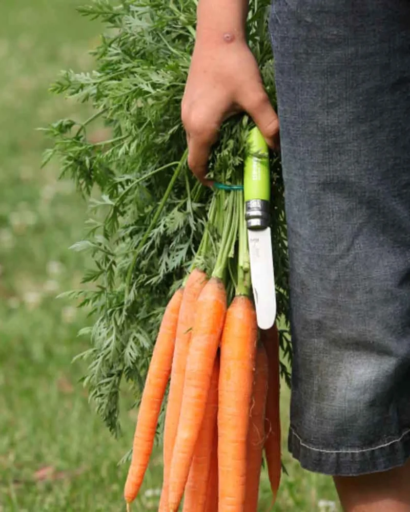 Cuchillo acero Opinel Mon Premier para personalizar