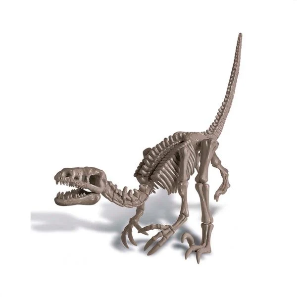 Kidzlabs Kit Geológico De Un Velociraptor
