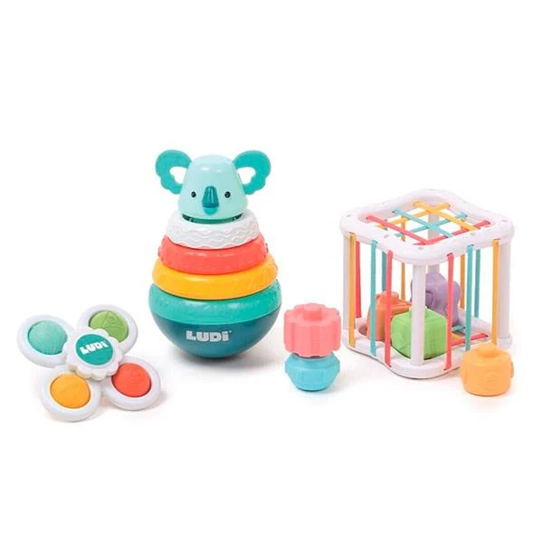 Conjunto Manipulación Ludi