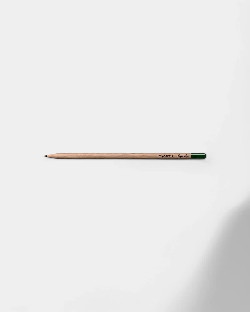 Lápiz para plantar ecológico personalizable