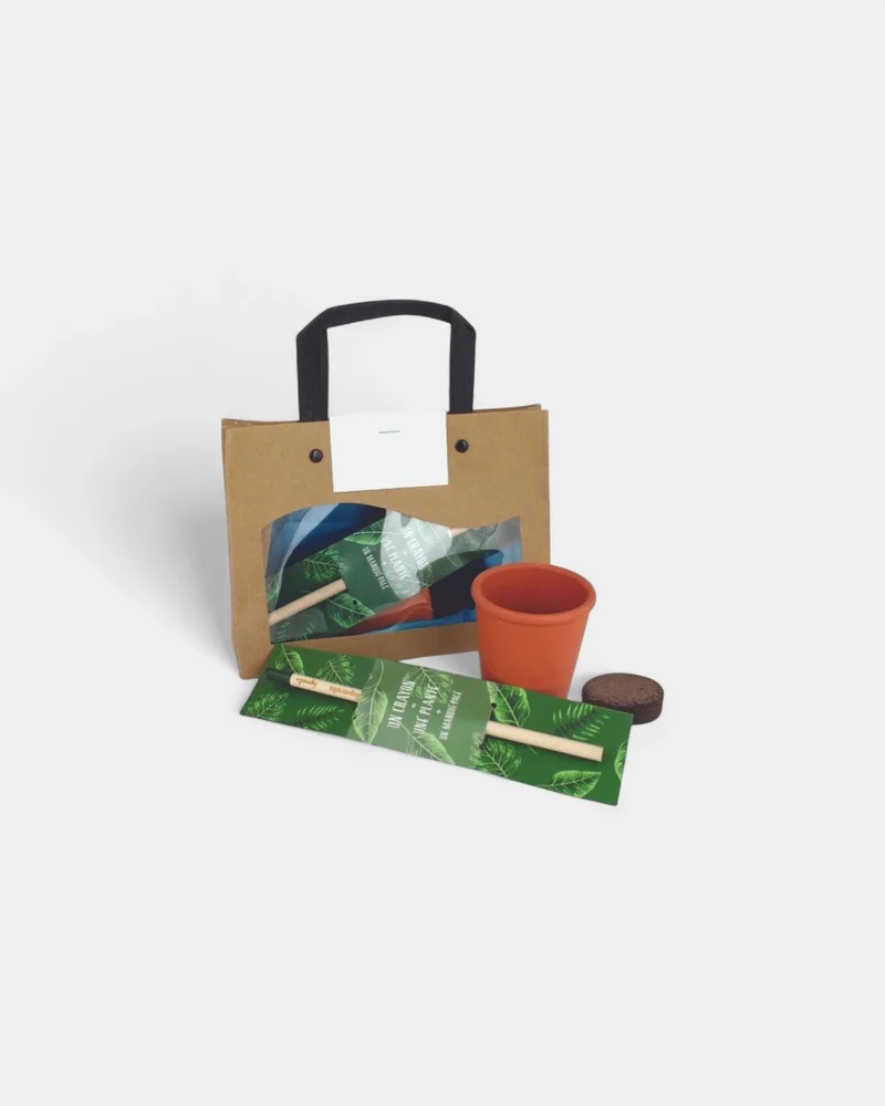 Lápices para plantar y personalizar